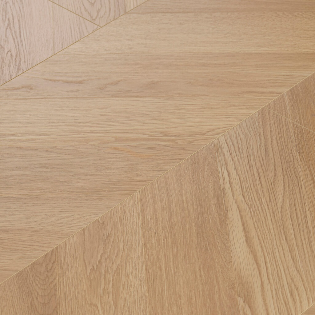 Desert Oak